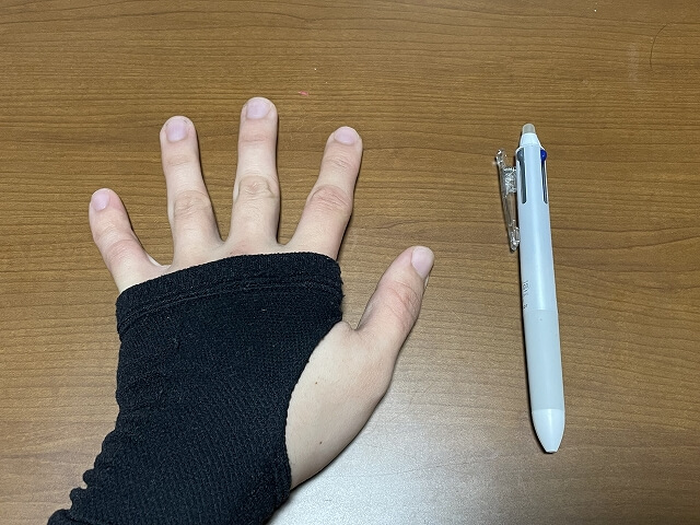 私の手のサイズをボールペンと比較したところ。手首から中指先端まで16cmくらいです